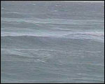 WEBCAM Sbeach